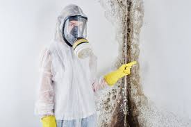 Best Mold Removal for HVAC Installations  in Biscayne Park, FL